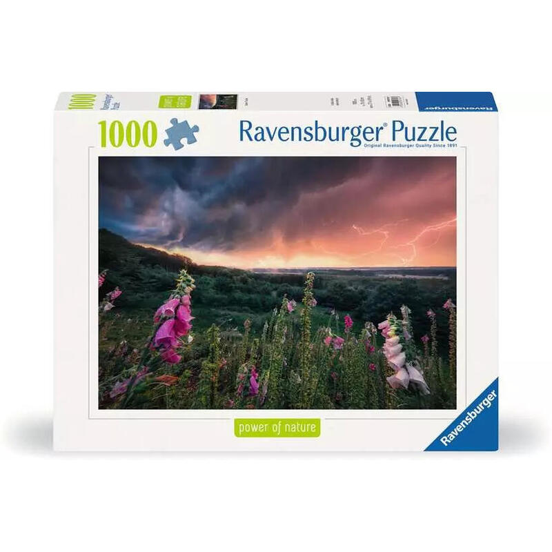 Puzzle 1000 elementÓw nadchodzi burza