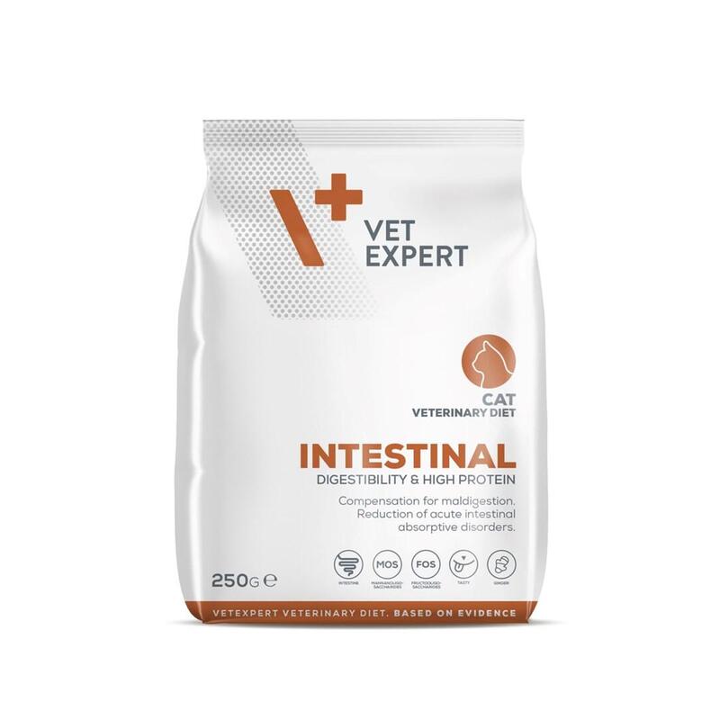 Vet expert veterinary diet intestinal cat  250 g