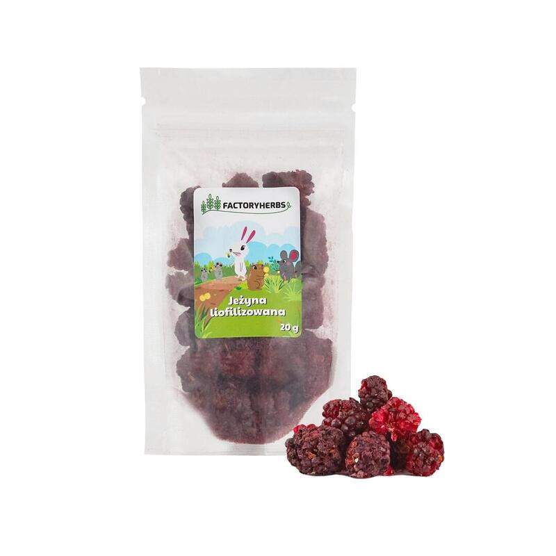 Factory herbs freeze-dried blackberry – golosina para roedores y conejos – 20g