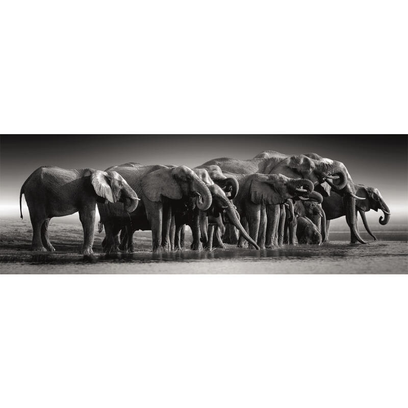Puzzle panorama herd of giants high quality 1000pzs