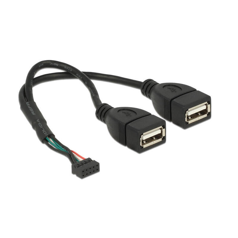 Delock 84933 base de conexiones del cable usb 2.0 hembra de 10 contactos 2,00 mm  2 x usb 2.0 tipo-a hembra 20 cm