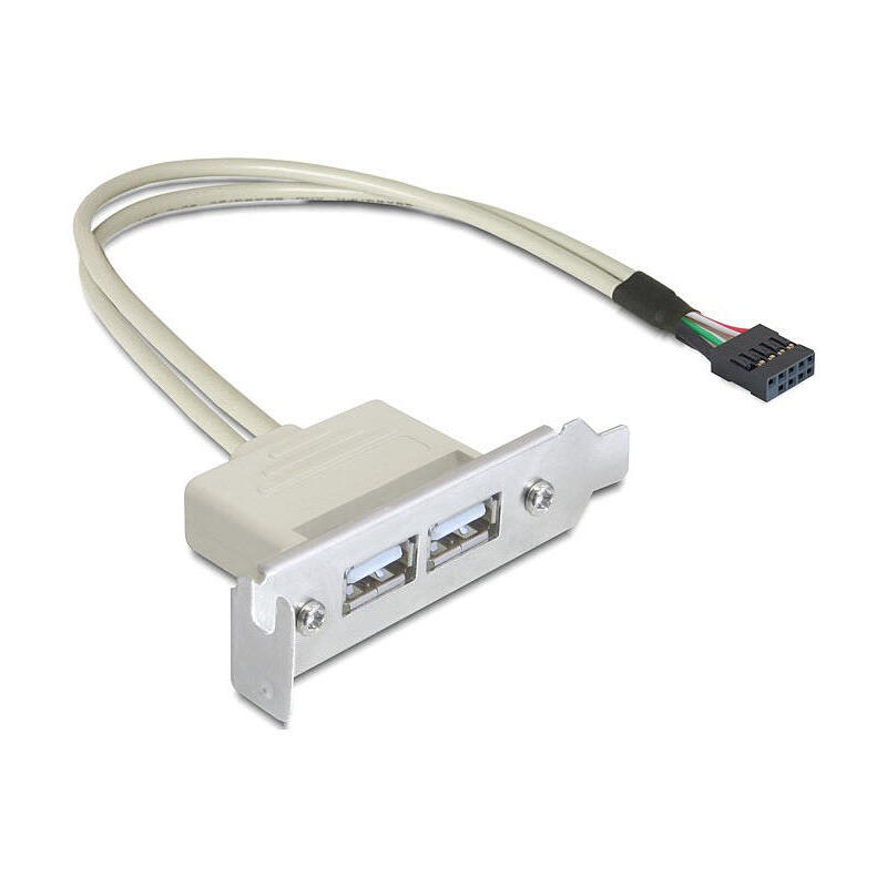 Delock slot bracket usb 2.0 low profile 2 puertos
