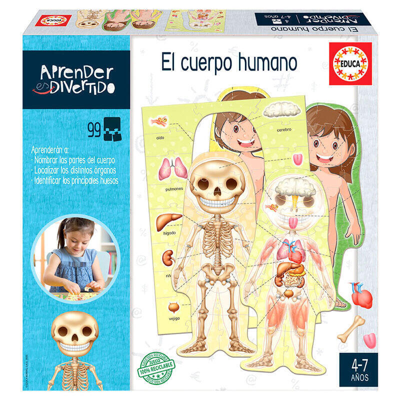 Educa – aprender es divertido: el cuerpo humano