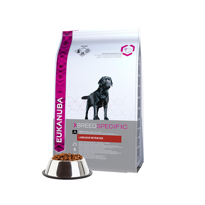 Eukanuba nutrition labrador retriever adulto 12kg