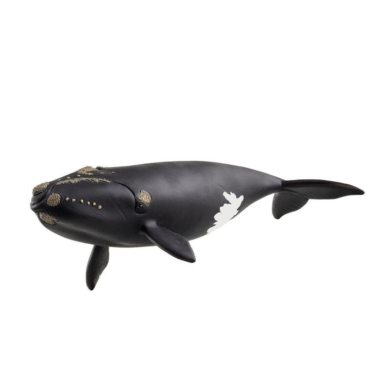 Figura de juguete de ballena franca del atlÁntico norte de schleich wild life   14878