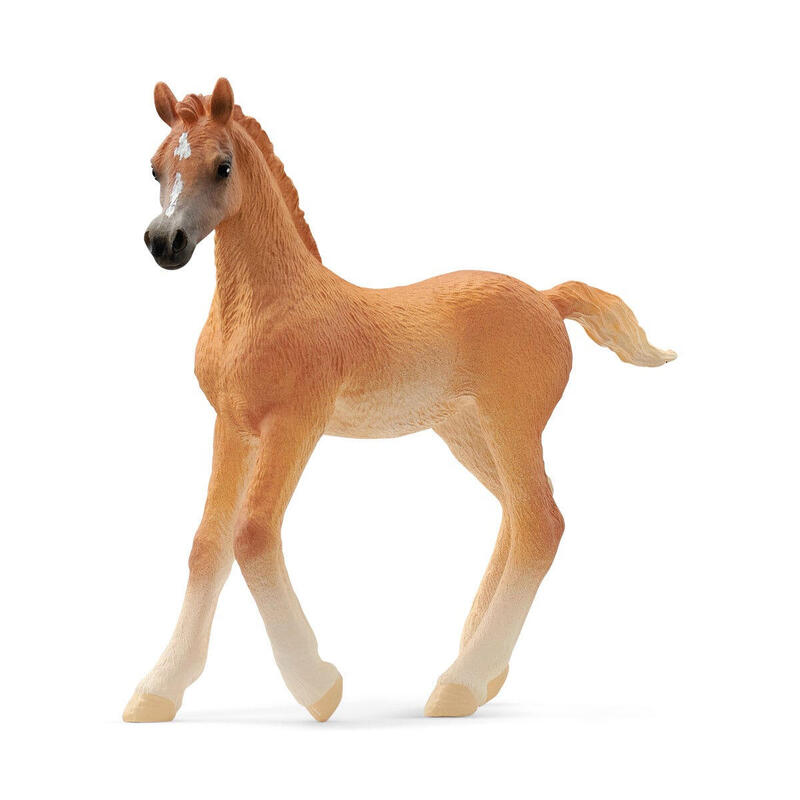Figura schleich horse club potro Árabe  13984