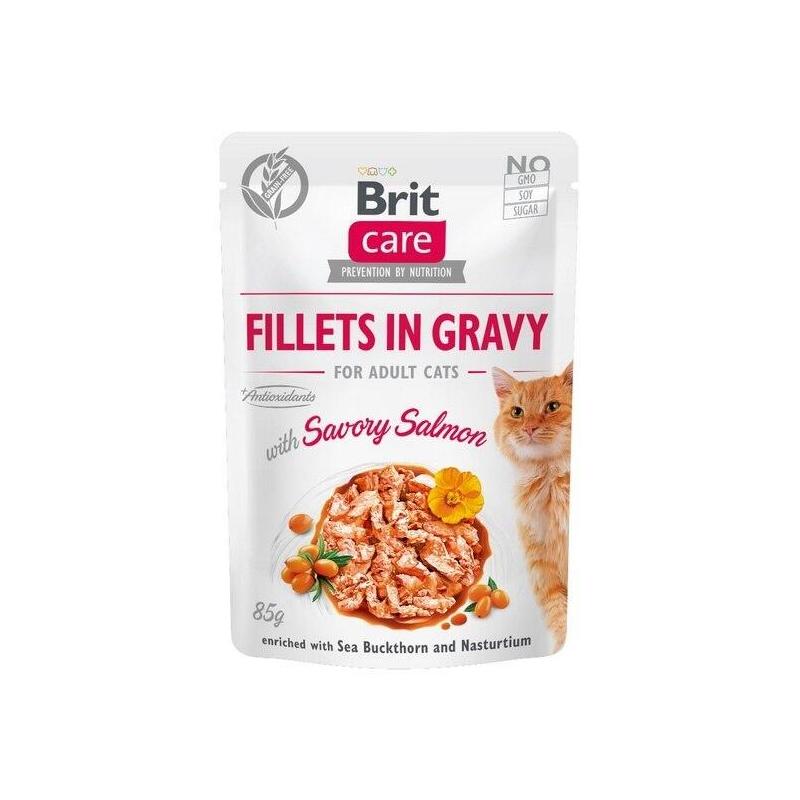 Gato brit care filetes de gato en salsa de salmÓn salado 85g