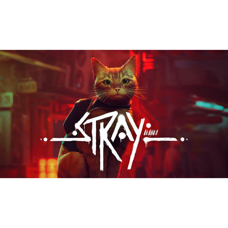 Juego stray switch