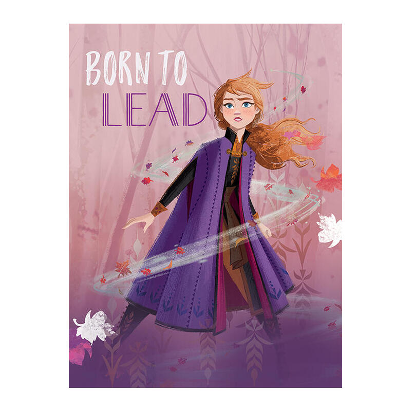 Lienzo frozen 2 30×40 born lead anna