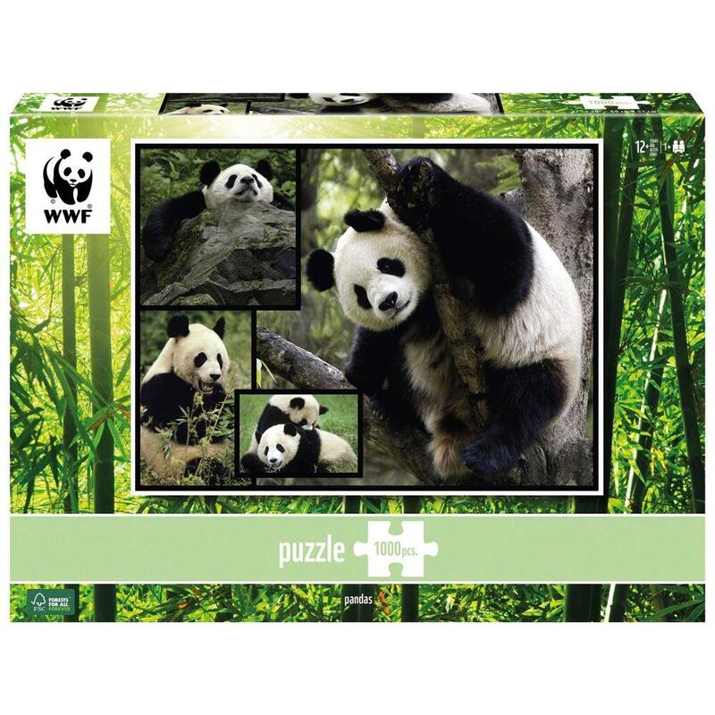 Pandas embajadores 1000 piezas
