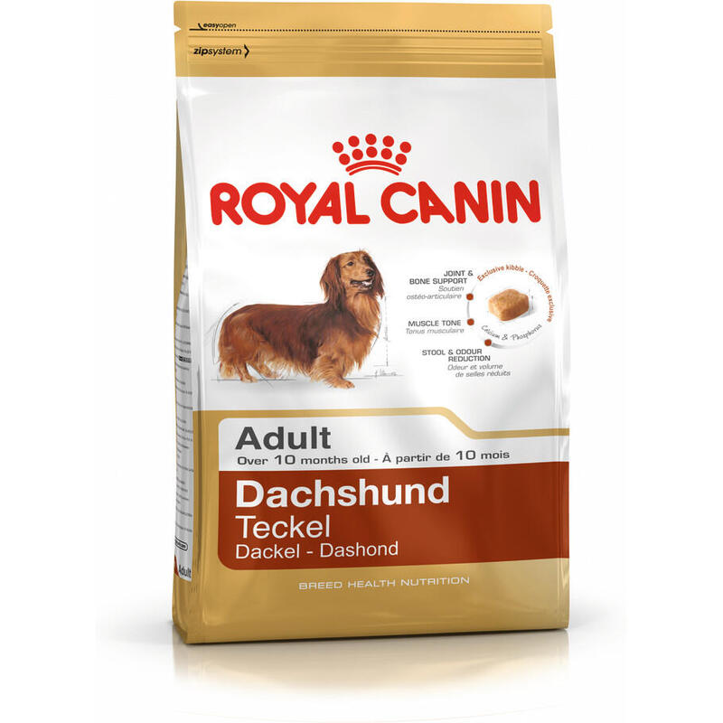 Perro salchicha de raza shn 1,5 kg
