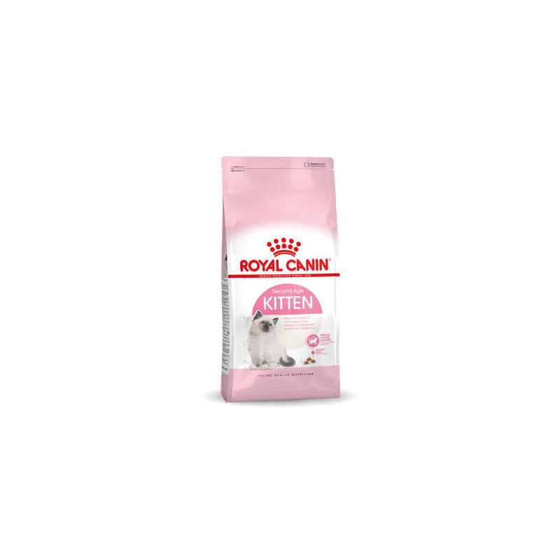 Pienso royal canin fhn kitten (10 kg )