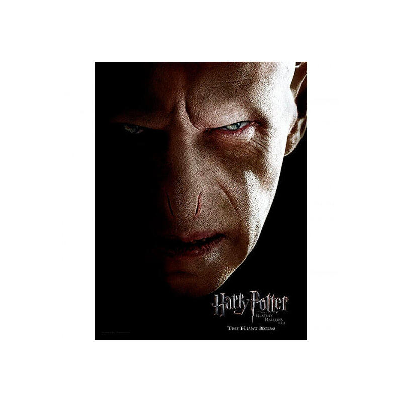 Poster cristal cara voldemort harry potter