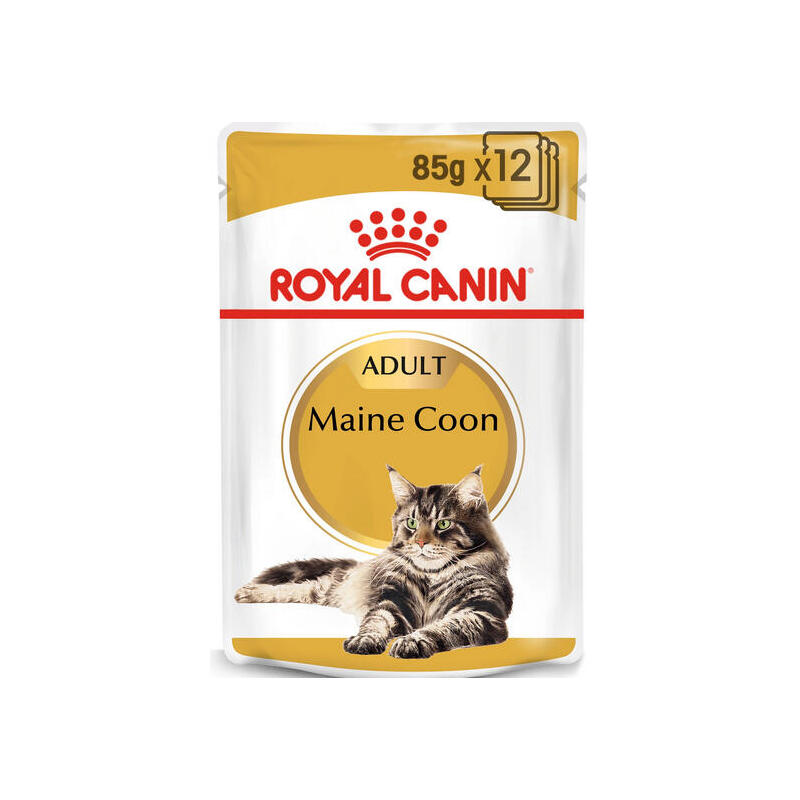 Royal canin fbn maine coon 12×85 g