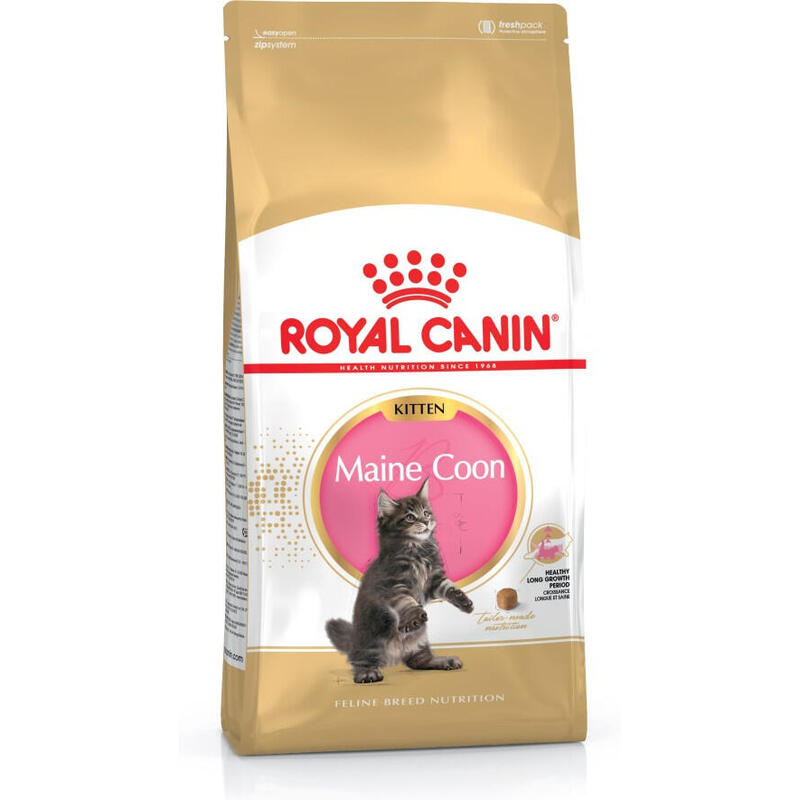 Royal canin maine coon kitten alimento seco para gatos gatito aves, arroz 400 g